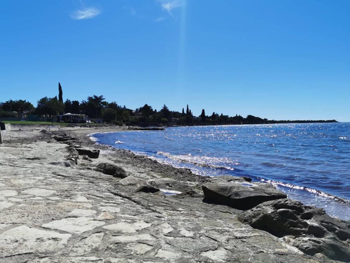 Апартаменти App Palcic K Novigrad  Екстер'єр фото