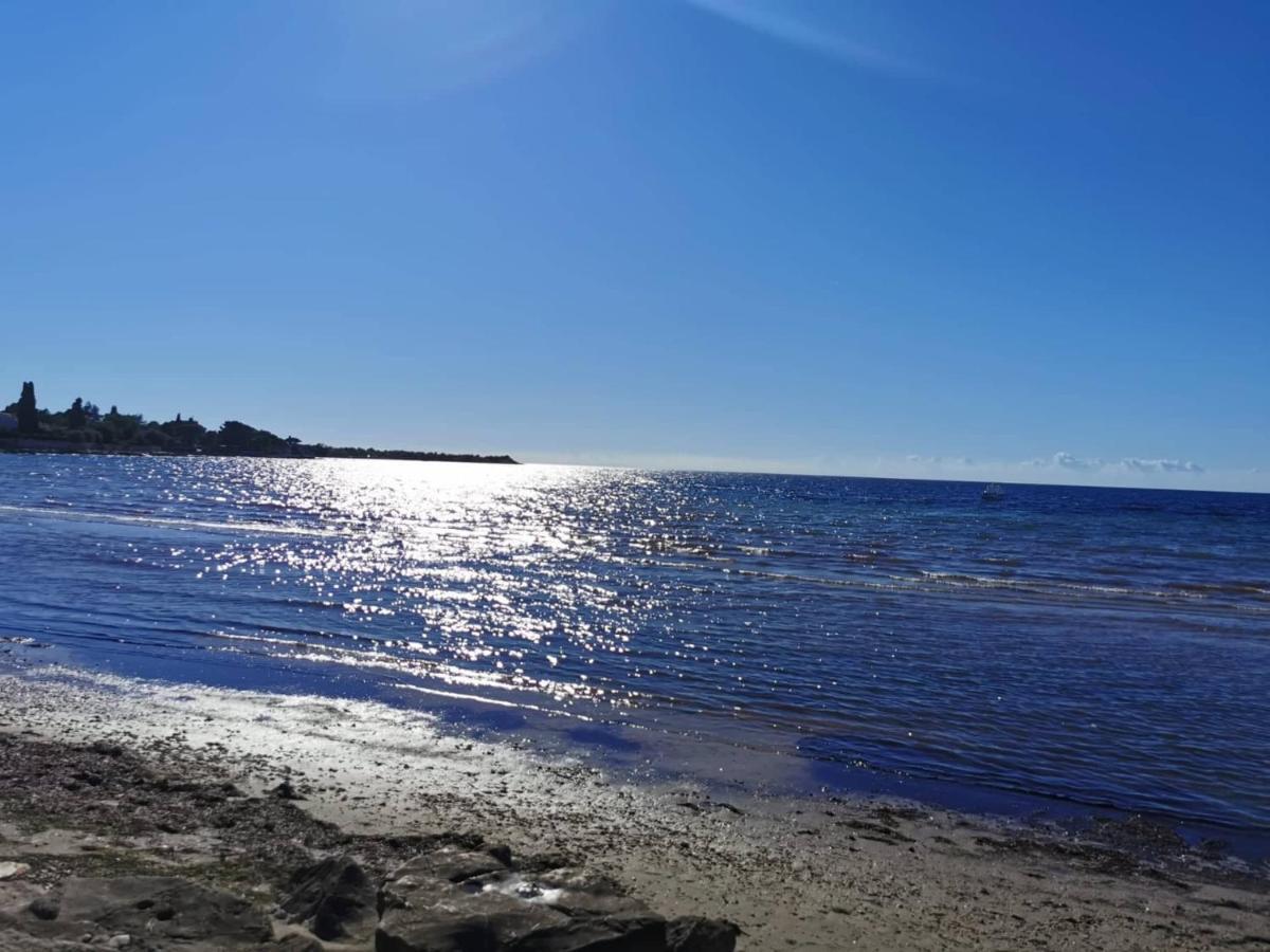 Апартаменти App Palcic K Novigrad  Екстер'єр фото