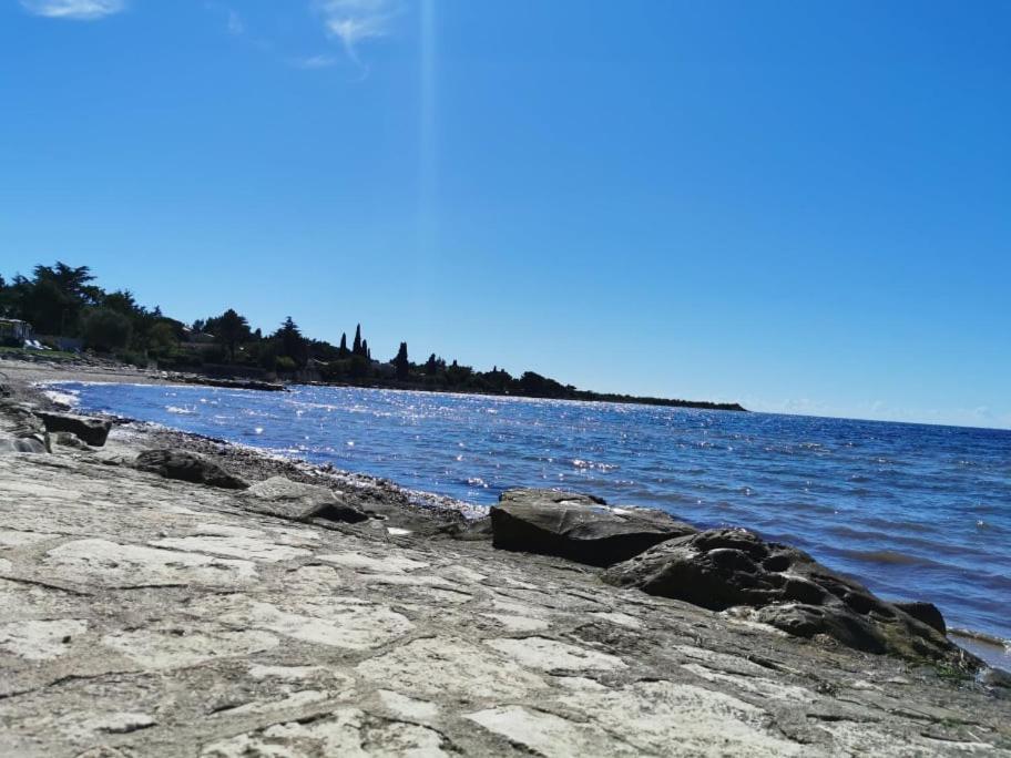 Апартаменти App Palcic K Novigrad  Екстер'єр фото