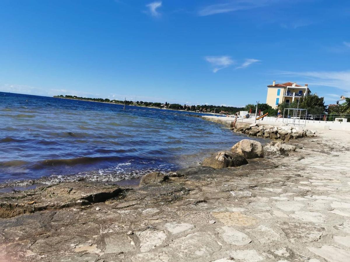 Апартаменти App Palcic K Novigrad  Екстер'єр фото
